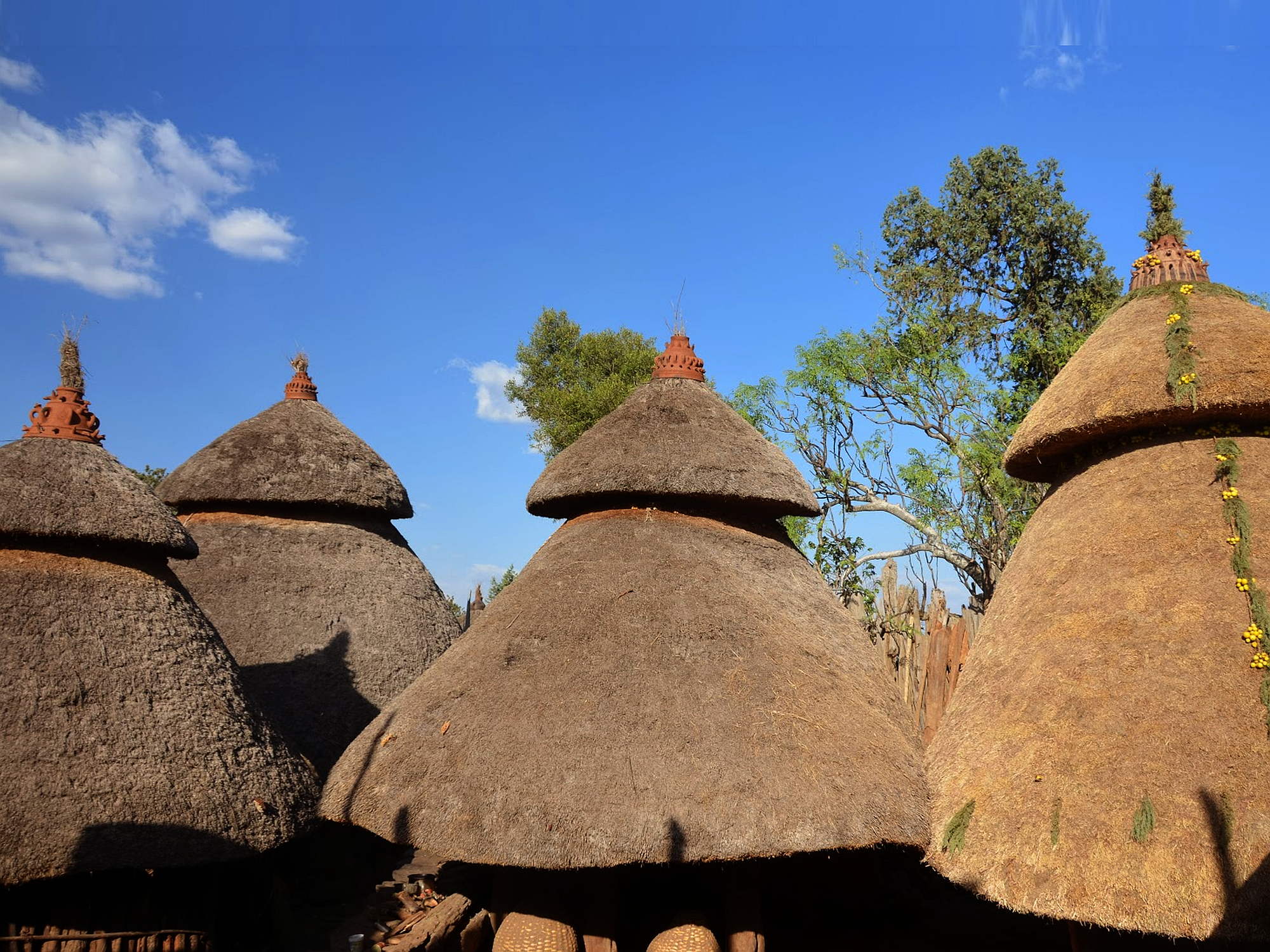 Konso