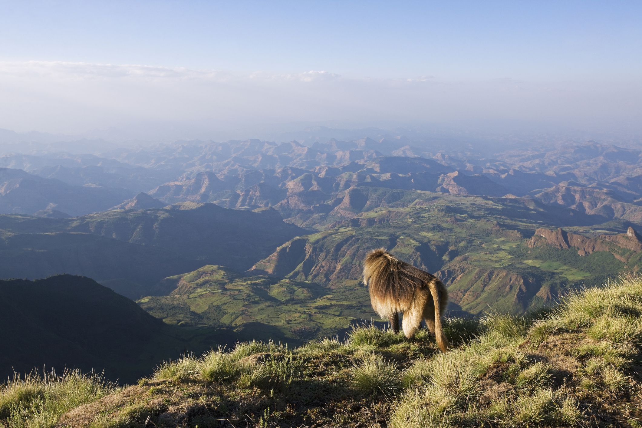 Simien Mountains National Park